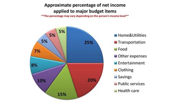 A Breakdown of His Income, Expenses, and Assets