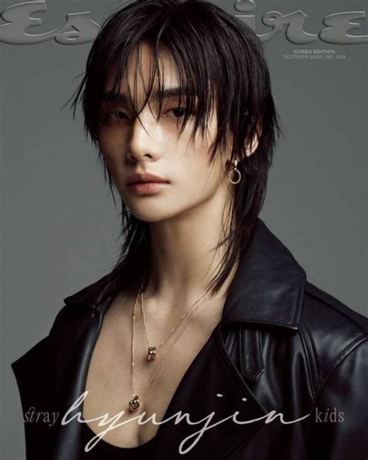 Minho SKZ Bio, Height, Career, Facts, Cats, Profile etc ·