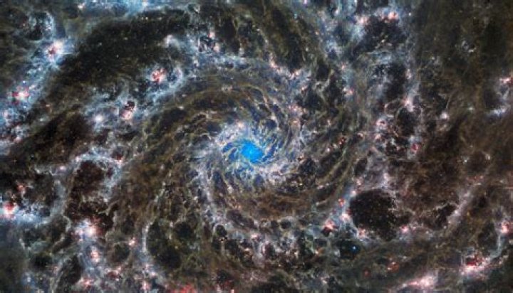 Unveiling Heather Storm's Measurements: Discoveries And Insights